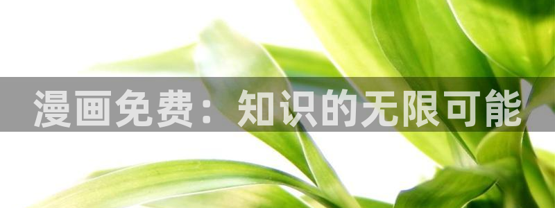 耽漫网之家动漫之家改名叫什么：漫画免费：知识的无限可能