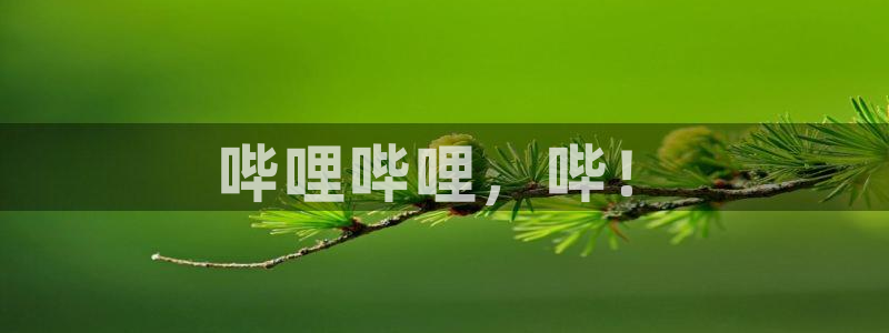 耽耽漫网：哔哩哔哩，哔！