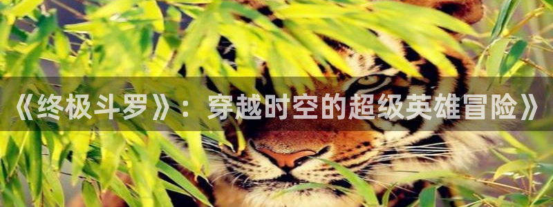 耽漫网之家官网入口：《终极斗罗》：穿越时空的超级英雄冒险》