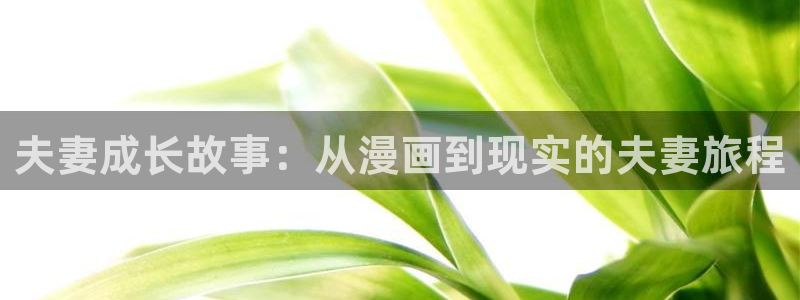 耽漫网最新小说推荐：夫妻成长故事：从漫画到现实的夫妻旅程