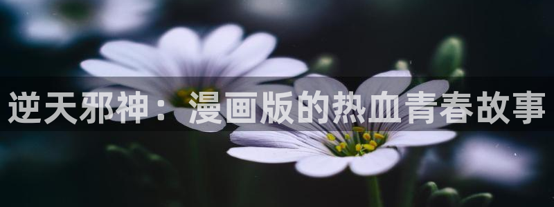耽漫网免费：逆天邪神：漫画版的热血青春故事
